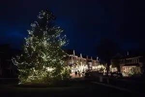 Holiday tree lighting in multiple Charter communities - image shows holiday tree with lights.