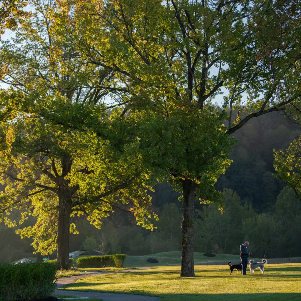 Walking Trails