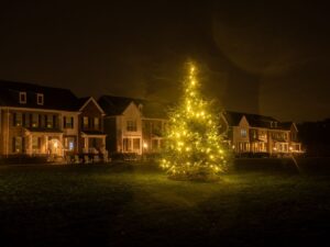 Neighborhood holiday tree lighting