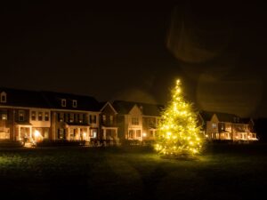 Enjoy the annual tree lighting to brighten up the holidays