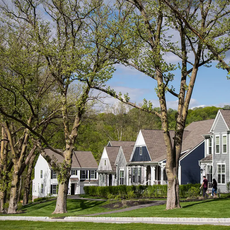 Sycamore Lane at Hastings