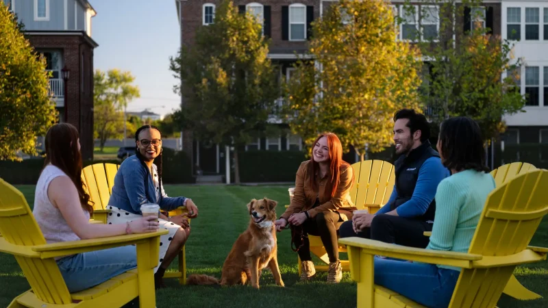 Connect with friends on Meeder Green