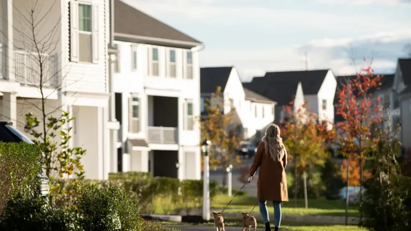 Tree lined streets create beautiful settings for life's every moment.