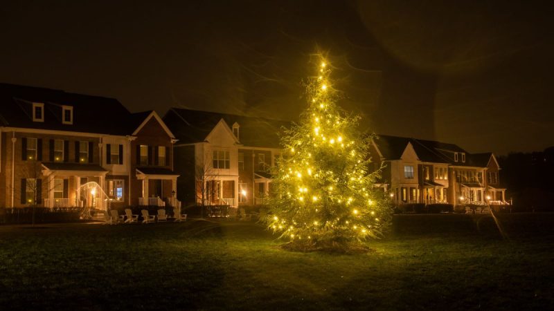 Neighborhood holiday tree lighting