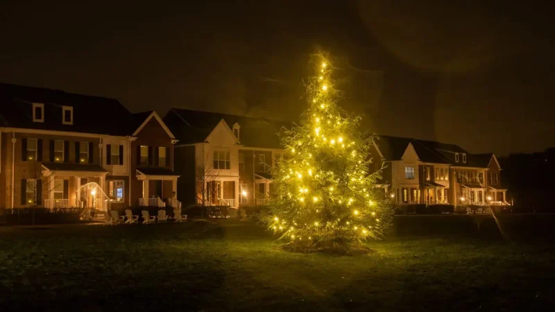 Neighborhood holiday tree lighting