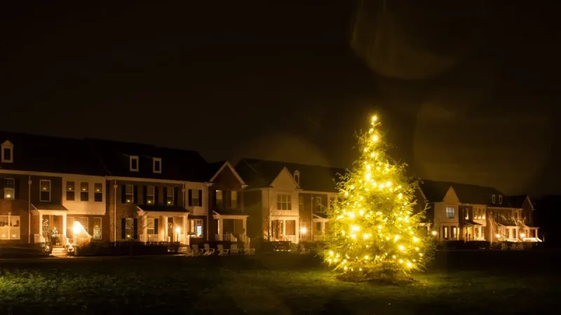 Enjoy the annual tree lighting to brighten up the holidays