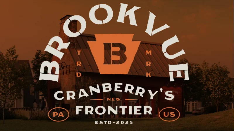 bv_01_nh title graphic