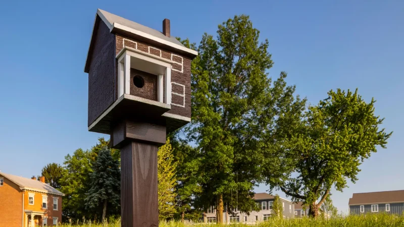 gr_21_zillow_birdhouse_meadow_overview